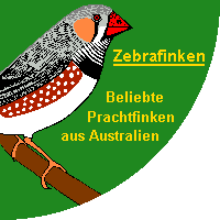 Zebrafinken