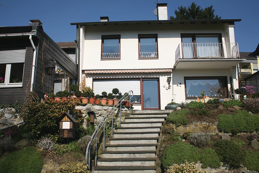 Gesehen von unten (Garten)